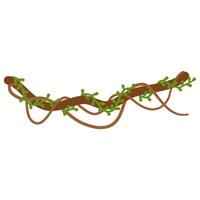 Lianas branch with vines vector