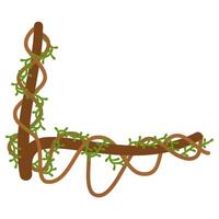 Lianas branch with vines vector