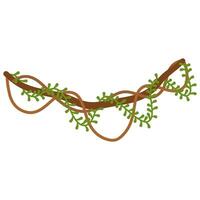 Lianas branch with vines vector