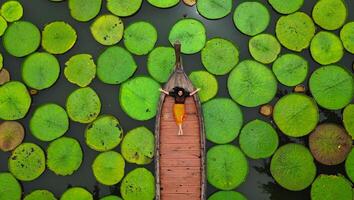 aéreo paisaje de victoria lirio de agua gigante lirio almohadilla lago a phuket Tailandia foto