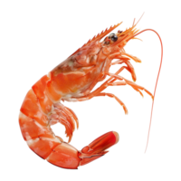 AI generated Red shrimp isolated on transparent background png