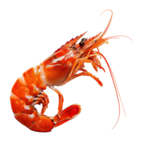 AI generated Red shrimp isolated on transparent background png