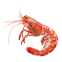 AI generated Red shrimp isolated on transparent background png