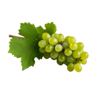 AI generated A bunch of green grape with leaves png isolated on transparent background