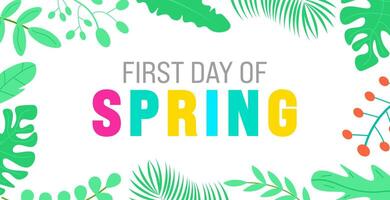 First Day of Spring or It's First Spring Day background template with colorful flower. Hello spring  or Spring background with beautiful colorful flower. Vector illustration template.