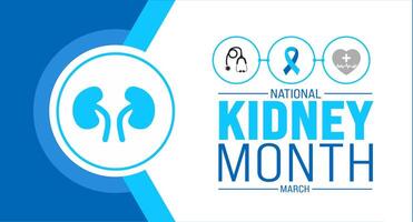 March is national  Kidney Month background template. Holiday concept. use to background, banner, placard, card, and poster design template with text inscription and standard color. vector illustration