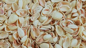 looped rotating empty pistachios shells full frame close-up background video