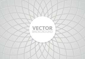 Premium background design with white line pattern, texture in luxury pastel colour. vector