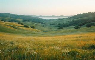 AI generated Panoramic Rolling Hills and Gentle Meadows photo