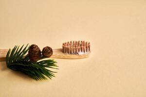 Toothbrush with toothpaste foam on a background of pine needles and cones. photo