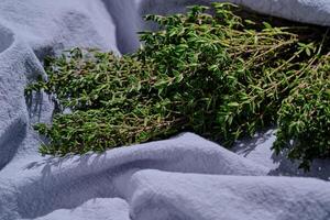 Fresh green thyme on a blue fabric background. photo