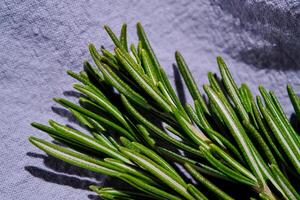 Fresh rosemary on a background of blue fabric. photo