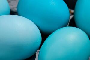 Pascua de Resurrección composición en azul sombras. pintado huevos en un azul antecedentes. foto