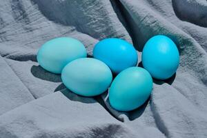 Easter composition in blue shades. Painted eggs on a blue background. photo