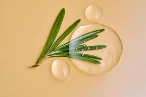 Drops of serum and a branch of fresh rosemary on a beige nude background. photo