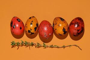 Easter composition of quail eggs and grass on a red brick background. photo