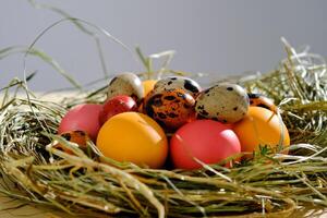 Easter eggs in pink, yellow and orange colors in a nest of grass. photo