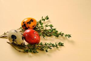 Easter composition of quail eggs and grass on a beige background. photo