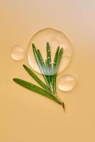 Drops of serum and a branch of fresh rosemary on a beige nude background. photo