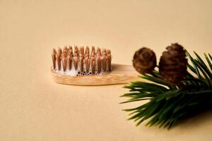 Toothbrush with toothpaste foam on a background of pine needles and cones. photo