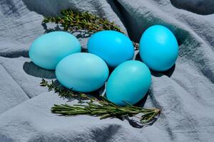 Easter composition in blue shades. Painted eggs on a blue background. photo