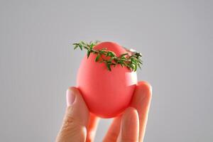 Pink Easter egg in hand close-up. photo