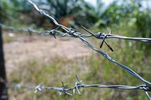 selective focus on an old and rusty barbed wire fence photo