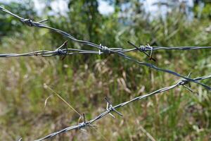 selective focus on an old and rusty barbed wire fence photo