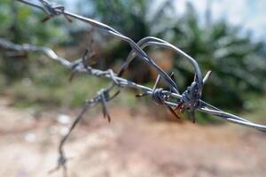 selective focus on an old and rusty barbed wire fence photo