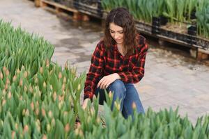 Beautiful young smiling girl, worker with flowers in greenhouse. Concept work in the greenhouse, flowers. photo