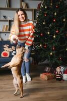 Little dog with owner playing and having fun. young teen girl sitting on the couch with her pet. Christmas tree in the background. soft selective focus photo