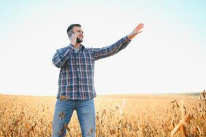 Farmer or agronomist inspecting soybean field. photo