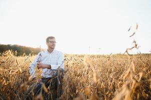 retrato de granjero en pie en haba de soja campo examinando cosecha a puesta de sol. foto