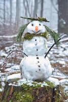 Snowman on a tree stump with carrot, buttons, branches, pine needles as hair photo