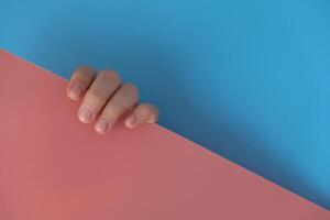 Stylish nude beige female nails on blue pink background. Modern trendy stylish Beautiful manicure. Cute pastel nail minimalistic design concept of beauty treatment. Gel nails. Skin care. Beautician photo