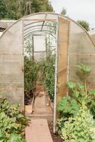 Large greenhouses for growing homemade vegetables. The concept of gardening and life in the country. photo