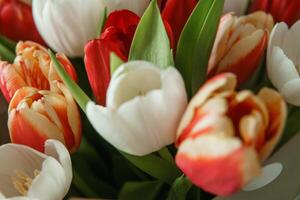 celebracion de belleza. tulipanes en de cerca como un regalo para marzo 8vo foto