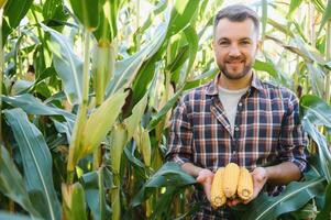 A man inspects a corn field and looks for pests. Successful farmer and agro business photo