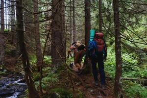 Hikers walking on forest trail with camping backpacks. outdoors trekking on mountain. photo