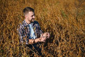 Agronomist inspects soybean crop in agricultural field - Agro concept - farmer in soybean plantation on farm. photo