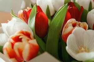 primavera inspiración. tulipán ramo de flores en honor de internacional De las mujeres día foto