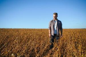 Agronomist inspects soybean crop in agricultural field - Agro concept - farmer in soybean plantation on farm. photo