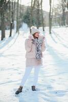 a beauty girl on the winter background photo