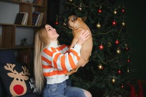 beautiful girl sitting on the couch with a dog on the background of Christmas photo