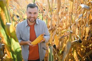 Agronomist checking corn if ready for harvest. Portrait of farmer. photo