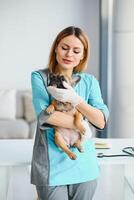 Happy veterinarian doctor hugs puppy in vet clinic. Empty space for text photo