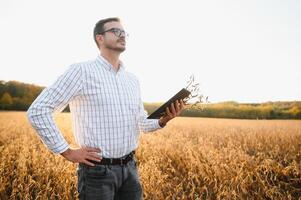 retrato de granjero en pie en haba de soja campo examinando cosecha a puesta de sol. foto