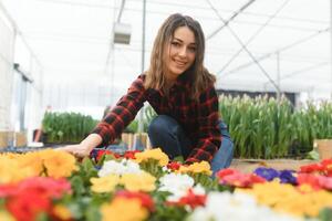 Beautiful young smiling girl, worker with flowers in greenhouse. Concept work in the greenhouse, flowers, tulips, box with flowers. Copy space. photo