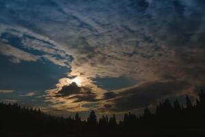 Forest against the background of the starry sky in the Carpathian mountains photo