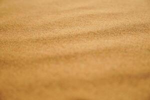 Sand grains arranged wavy in the desert, close-up photo